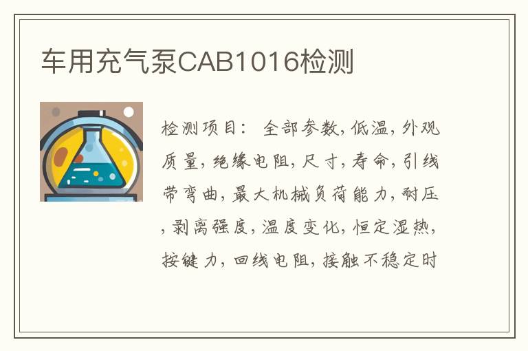 车用充气泵CAB1016检测
